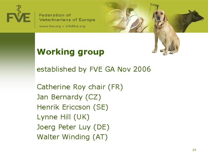 Working group established by FVE GA Nov 2006 Catherine Roy chair (FR) Jan Bernardy