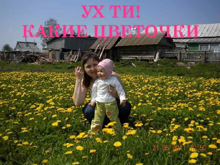 УХ ТИ! КАКИЕ ЦВЕТОЧКИ 