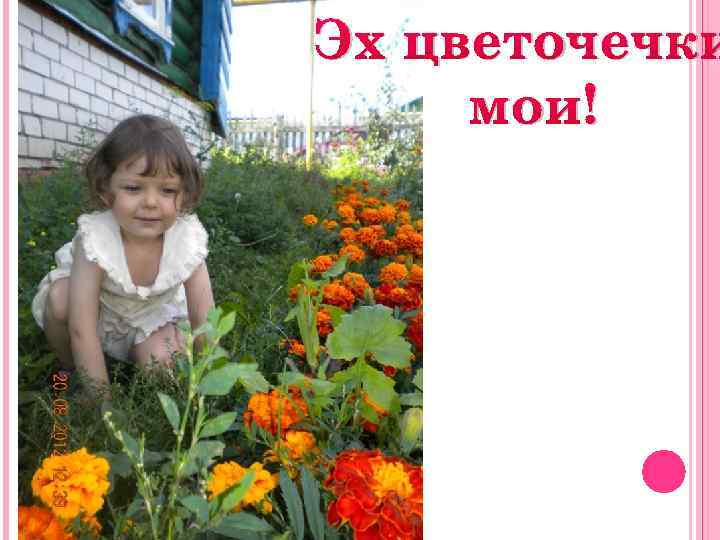 Эх цветочечки мои! 