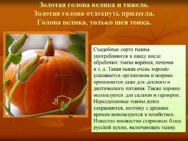 Золотая голова велика и тяжела. Золотая голова отдохнуть прилегла. Голова велика, только шея тонка.