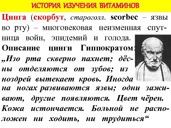 ИСТОРИЯ ИЗУЧЕНИЯ ВИТАМИНОВ Цинга (скорбут, староголл. scorbec – язвы во рту) – многовековая неизменная