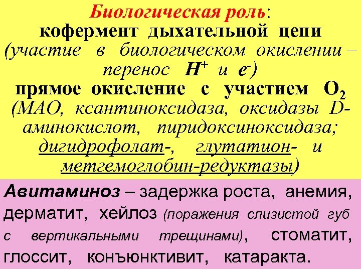 Биологическая роль: кофермент дыхательной цепи (участие в биологическом окислении – перенос Н+ и е-)
