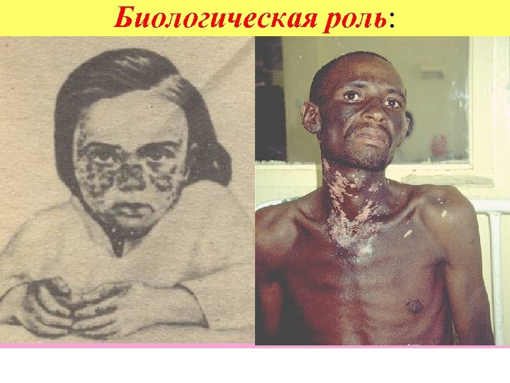 Биологическая роль: коферменты дегидрогеназ (перенос Н+ и е-) НАДФ-Н – донор протонов в реакциях