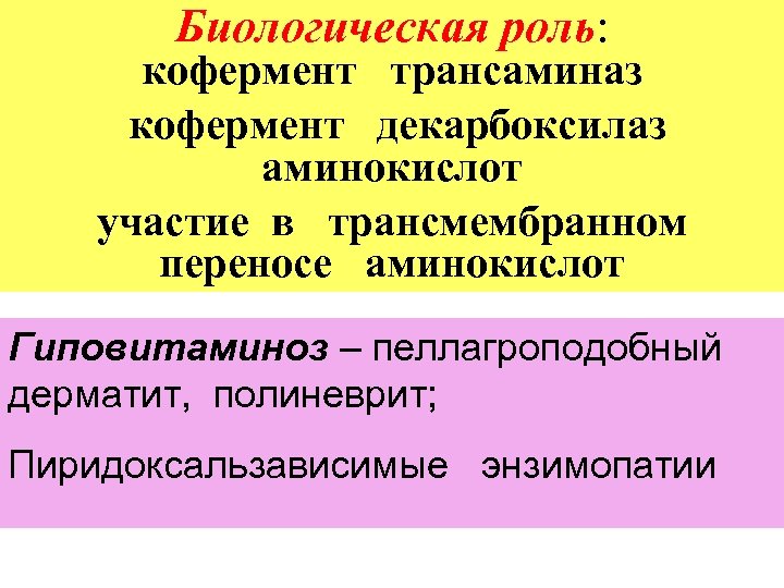 Биологическая роль: кофермент трансаминаз кофермент декарбоксилаз аминокислот участие в трансмембранном переносе аминокислот Гиповитаминоз –