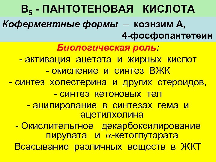 В 5 - ПАНТОТЕНОВАЯ КИСЛОТА Коферментные формы – коэнзим А, 4 -фосфопантетеин Биологическая роль: