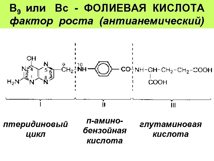 В 9 или Вс - ФОЛИЕВАЯ КИСЛОТА фактор роста (антианемический) птеридиновый цикл п-аминоглутаминовая бензойная