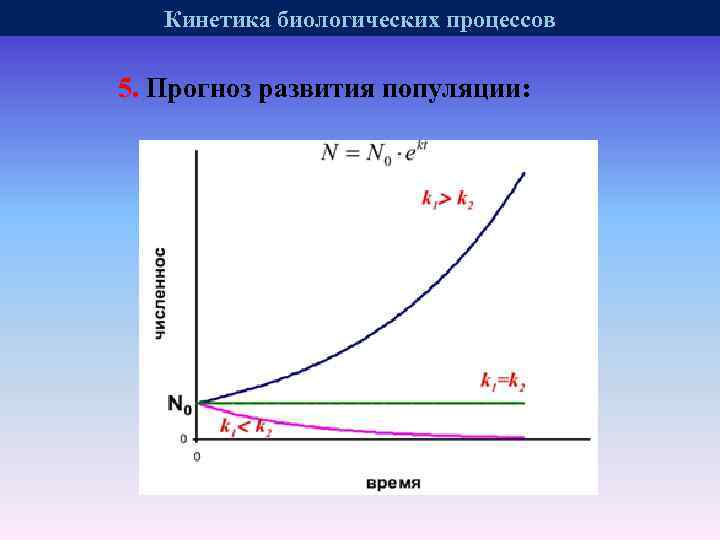 Кинетика биологических процессов 5. Прогноз развития популяции: 