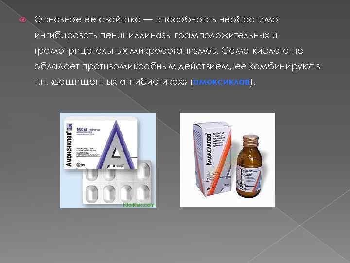  Основное ее свойство — способность необратимо ингибировать пенициллиназы грамположительных и грамотрицательных микроорганизмов. Сама