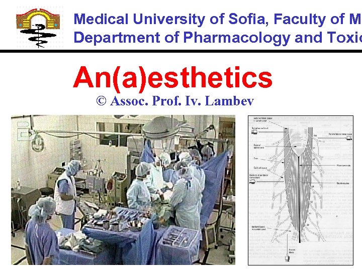 Medical University of Sofia, Faculty of Me Department of Pharmacology and Toxic An(a)esthetics ©
