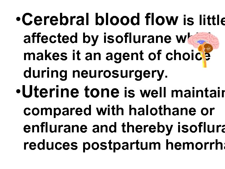  • Cerebral blood flow is little affected by isoflurane which makes it an