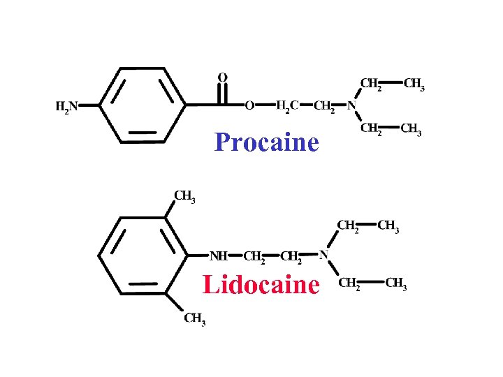 Procaine Lidocaine 