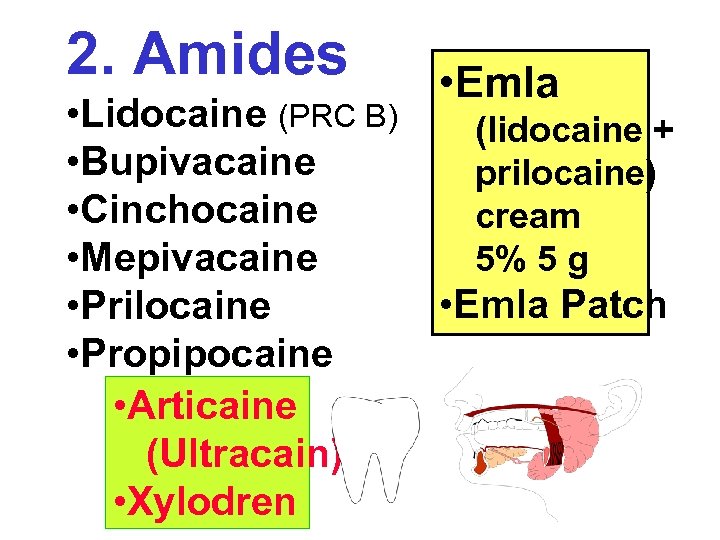 2. Amides • Lidocaine (PRC B) • Bupivacaine • Cinchocaine • Mepivacaine • Prilocaine