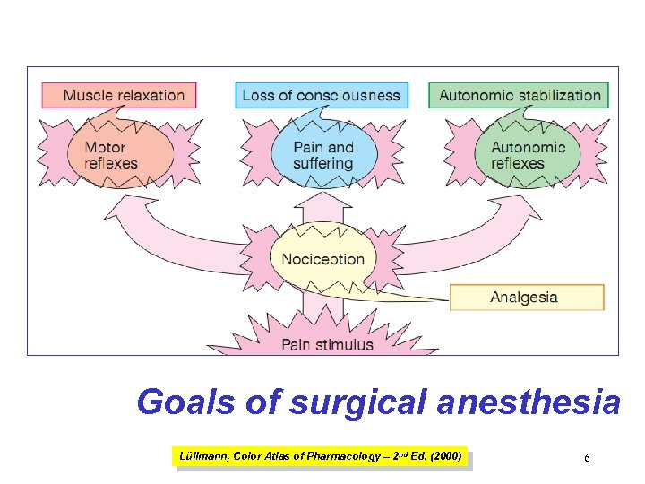 Goals of surgical anesthesia Lüllmann, Color Atlas of Pharmacology – 2 nd Ed. (2000)