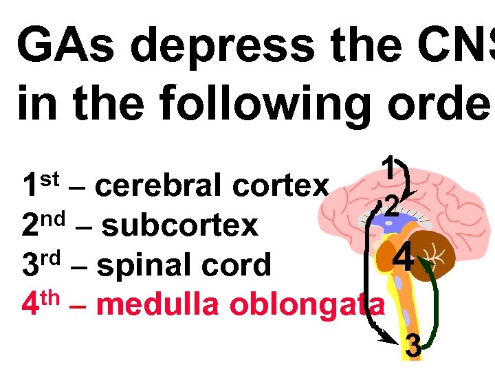 GAs depress the CNS in the following order st 1 1 – cerebral cortex