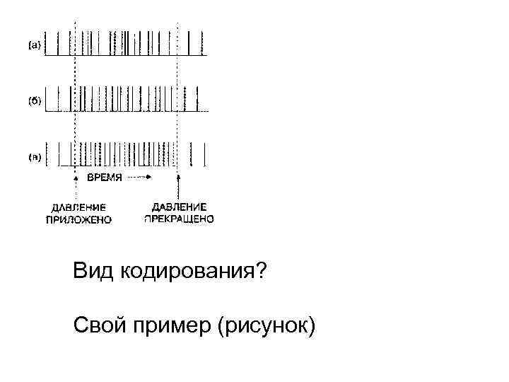 Вид кодирования? Свой пример (рисунок) 