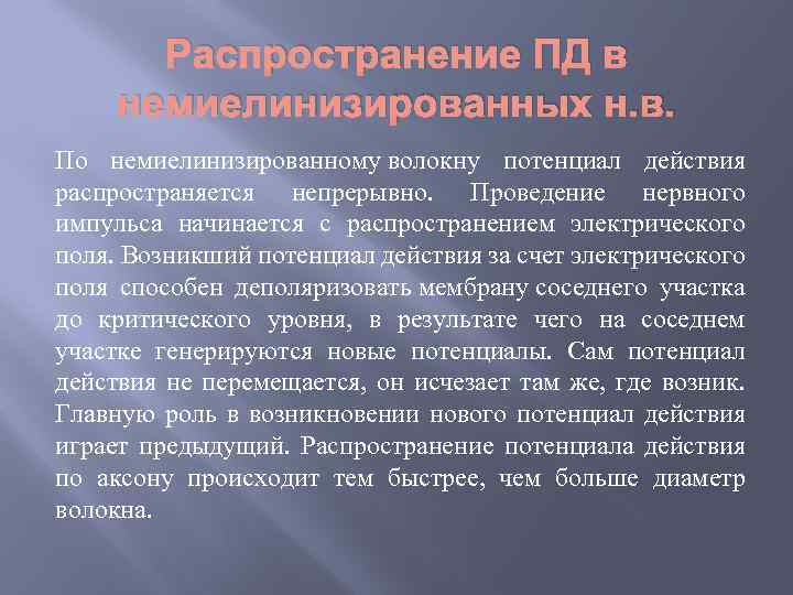 Распространение ПД в немиелинизированных н. в. По немиелинизированному волокну потенциал действия распространяется непрерывно. Проведение