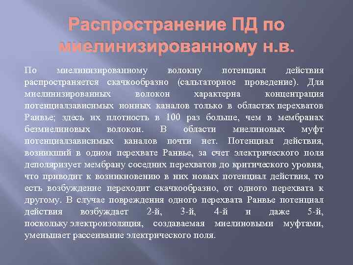 Распространение ПД по миелинизированному н. в. По миелинизированному волокну потенциал действия распространяется скачкообразно (сальтаторное