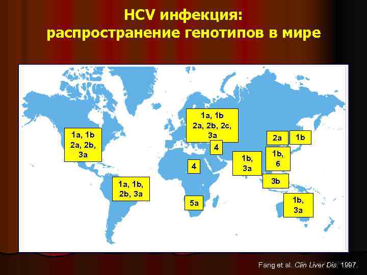 HCV инфекция: распространение генотипов в мире 1 a, 1 b 2 a, 2 b,