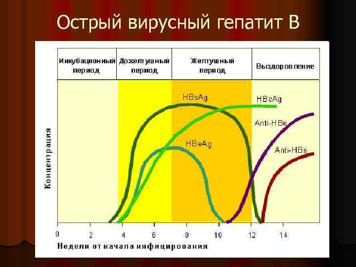 Острый вирусный гепатит В 