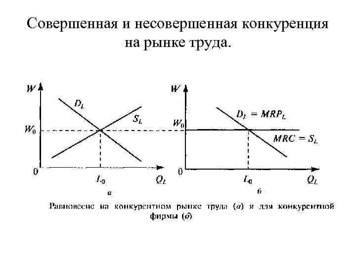 Совершенная и несовершенная конкуренция на рынке труда. 