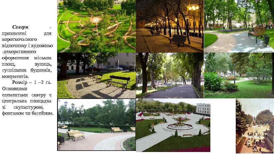 Сквери - призначені для короткочасного відпочинку і художньо -декоративного оформлення міських площ, вулиць, суспільних