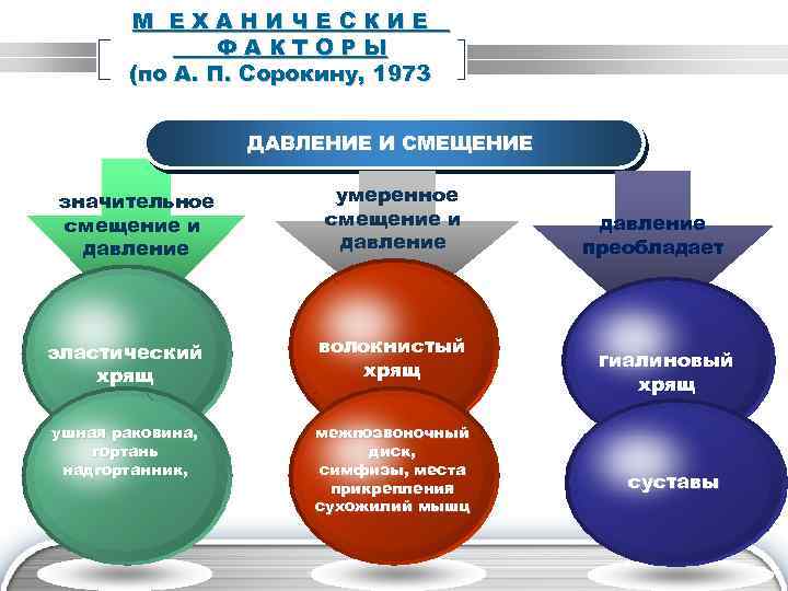 М ЕХАНИЧЕСКИЕ ФАКТОРЫ (по А. П. Сорокину, 1973 ДАВЛЕНИЕ И СМЕЩЕНИЕ значительное смещение и