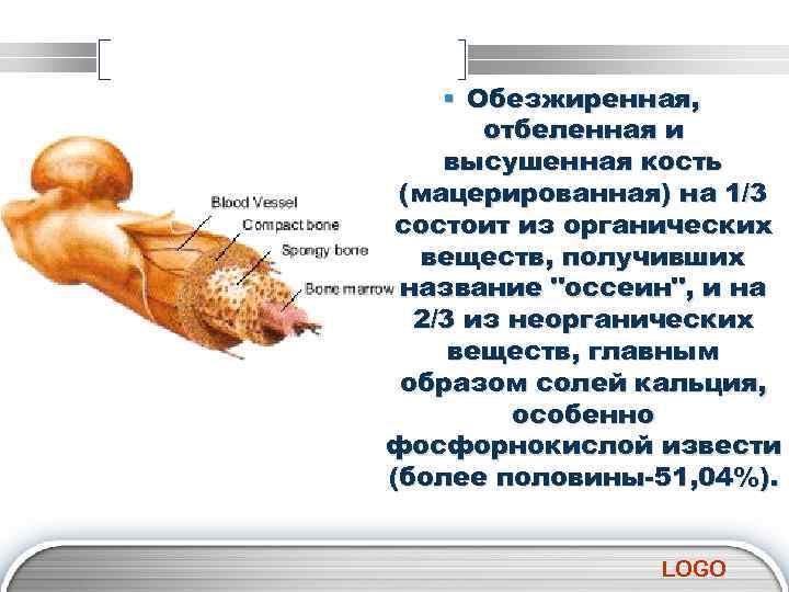 § Обезжиренная, отбеленная и высушенная кость (мацерированная) на 1/3 состоит из органических веществ, получивших