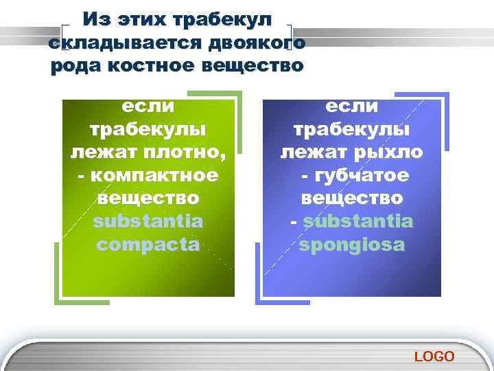 Из этих трабекул складывается двоякого рода костное вещество если вещество трабекулы лежат плотно, -