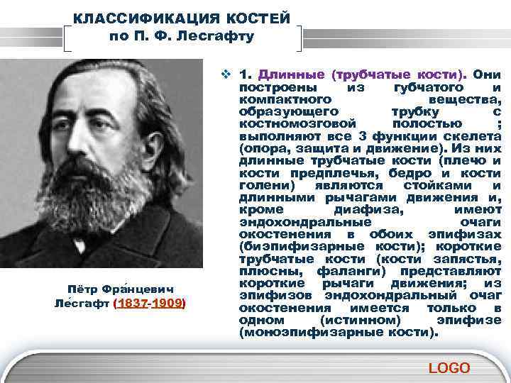 КЛАССИФИКАЦИЯ КОСТЕЙ по П. Ф. Лесгафту Пётр Фра нцевич Ле сгафт (1837 -1909) v