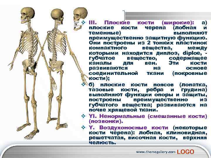 Кости широкие бывают