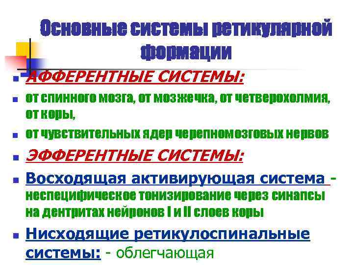 Основные системы ретикулярной формации n АФФЕРЕНТНЫЕ СИСТЕМЫ: n от спинного мозга, от мозжечка, от