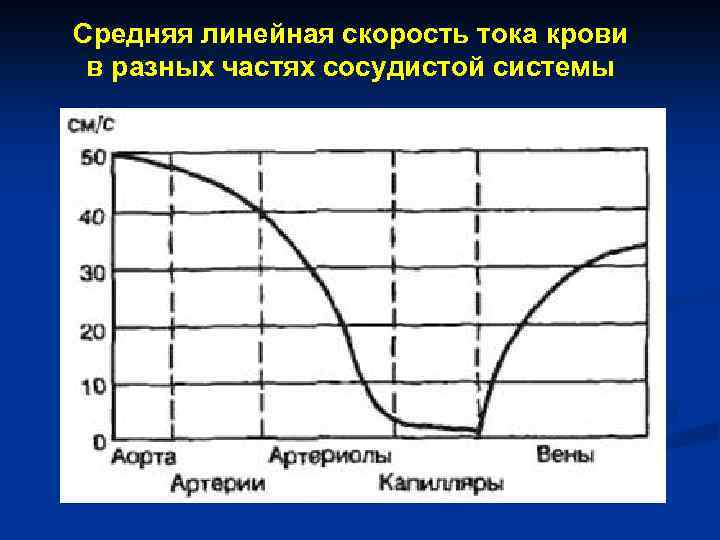 Средняя линейная скорость тока крови в разных частях сосудистой системы 