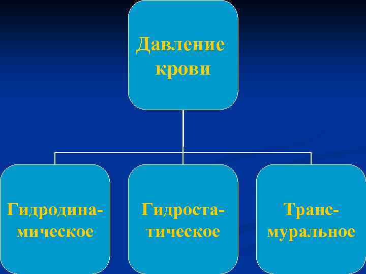 Давление крови Гидродинамическое Гидростатическое Трансмуральное 
