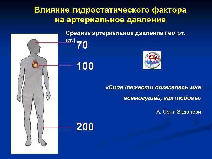 Влияние атмосферного давления на артериальное давление человека проект