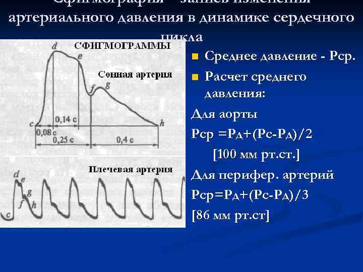 Сфигмография – запись изменения артериального давления в динамике сердечного цикла Среднее давление - Рср.