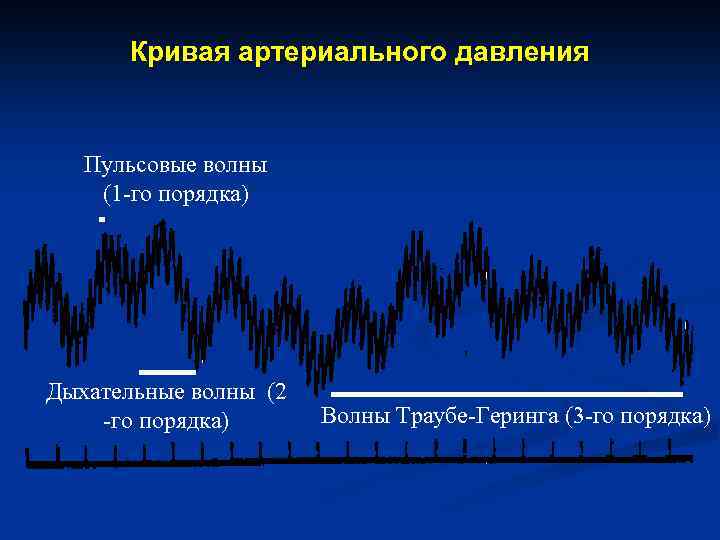 Волны первого порядка. Кривая артериального давления. Кривая кровяного давления. Кривая ад.