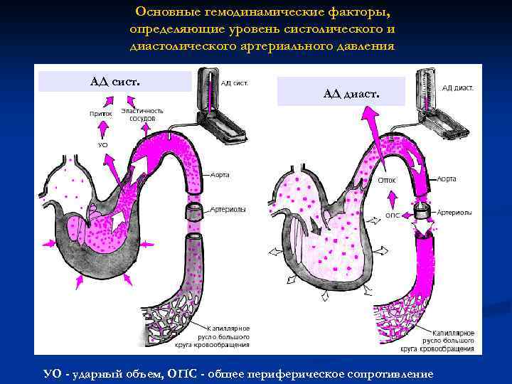 Основные гемодинамические факторы, определяющие уровень систолического и диастолического артериального давления АД сист. АД диаст.