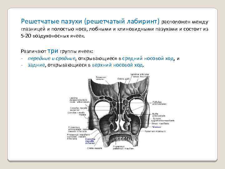 Решетчатые функции и их изображения