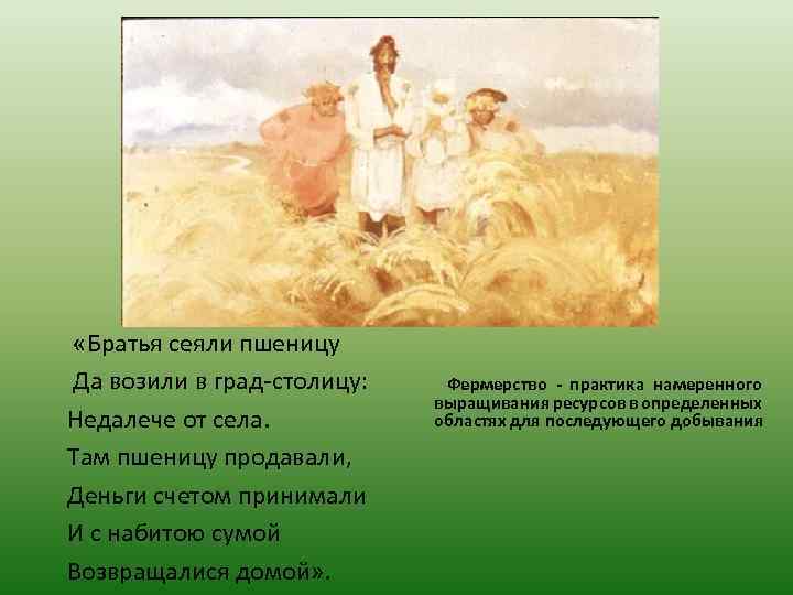  «Братья сеяли пшеницу Да возили в град-столицу: Недалече от села. Там пшеницу продавали,