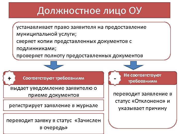 Должностное лицо ОУ устанавливает право заявителя на предоставление муниципальной услуги; сверяет копии представленных документов