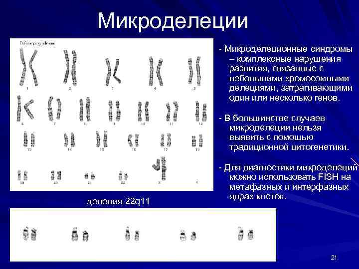 Презентация цитогенетика человека биология 10 класс