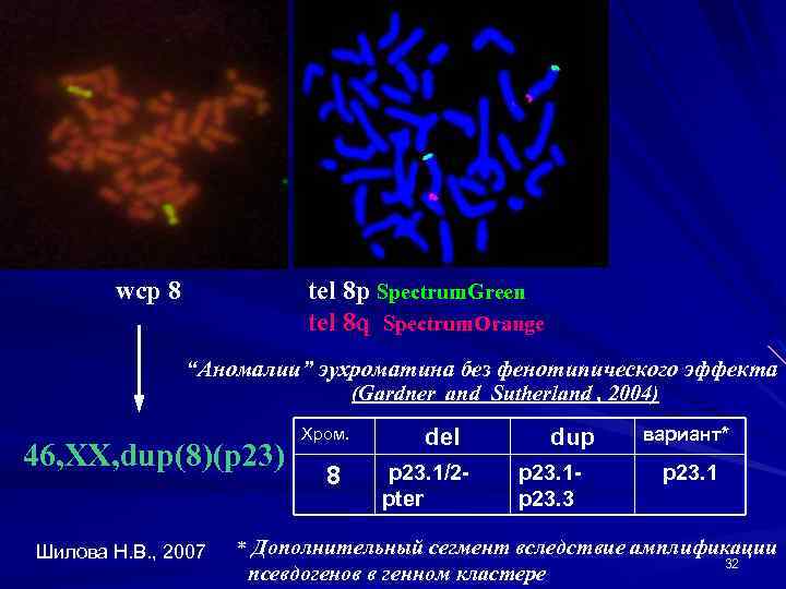 wcp 8 tel 8 p Spectrum. Green tel 8 q Spectrum. Orange “Аномалии” эухроматина