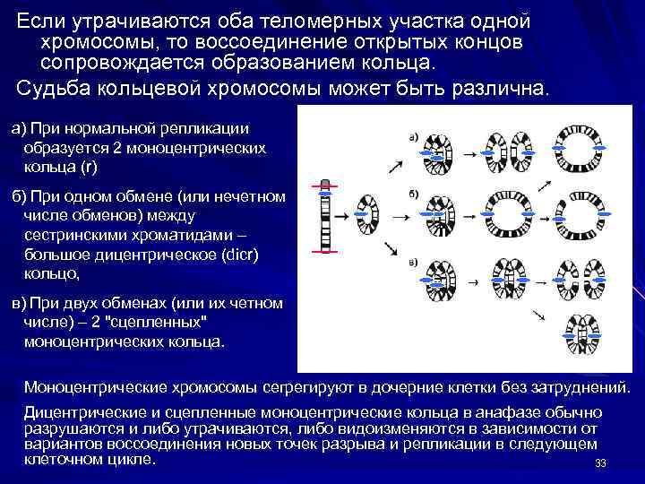 Заполните схему изменчивость цитоплазматическая комбинативная геномная