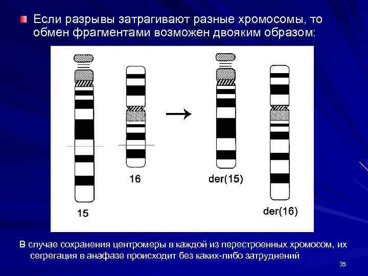 Другая хромосома