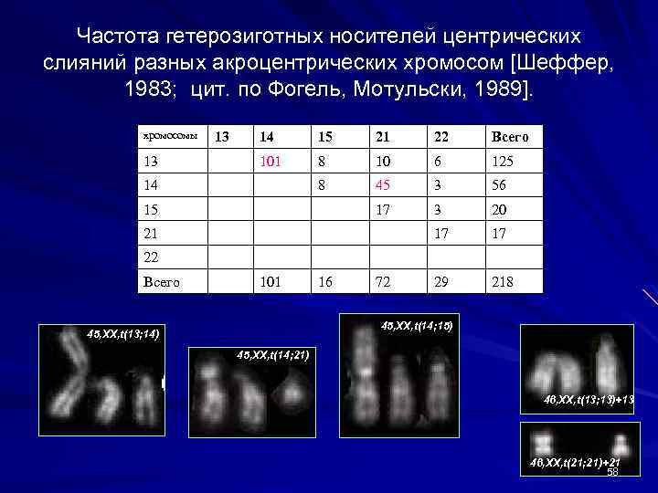 Частота гетерозиготных носителей центрических слияний разных акроцентрических хромосом [Шеффер, 1983; цит. по Фогель, Мотульски,