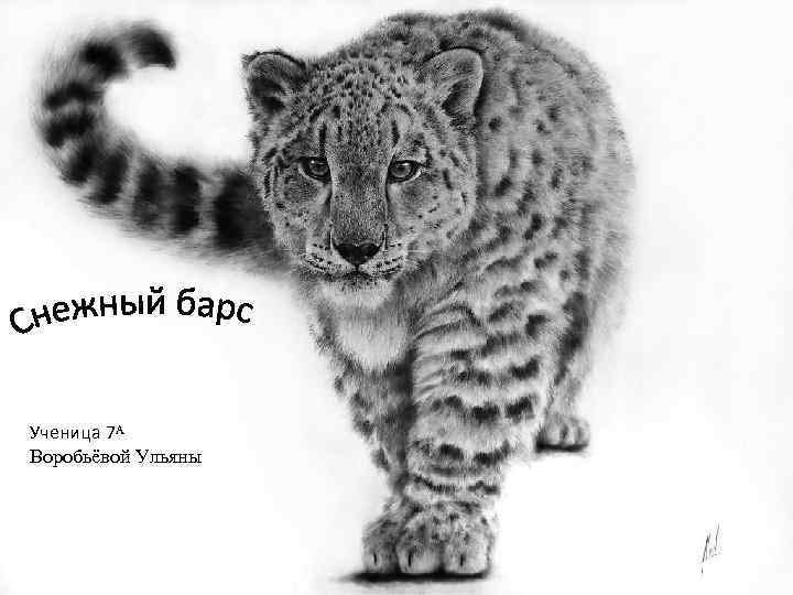 Ученица 7ᴬ Воробьёвой Ульяны 