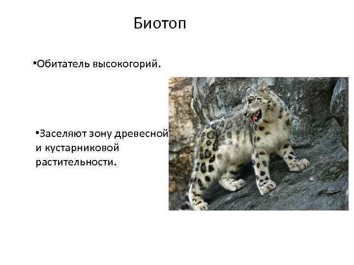 Биотоп • Обитатель высокогорий. • Заселяют зону древесной и кустарниковой растительности. 