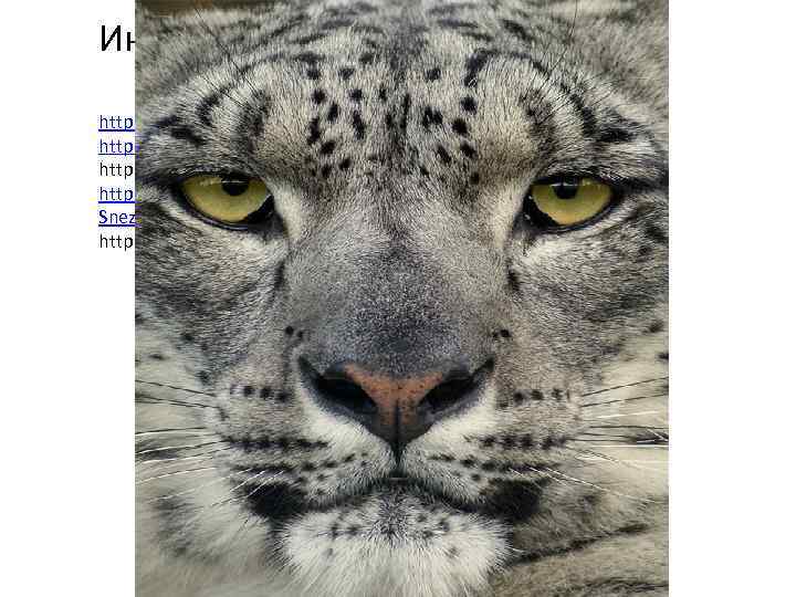 Информационные ресурсы http: //cyclowiki. org/wiki/%D 0%98%D 1%80%D 0%B 1%D 0%B 8%D 1%81 http: //www.