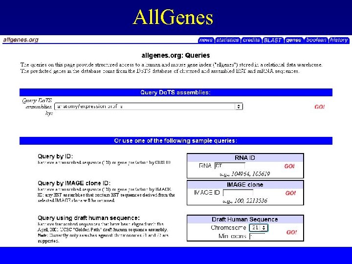 All. Genes 