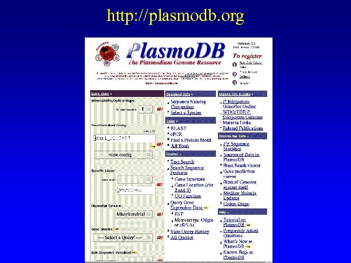 http: //plasmodb. org 